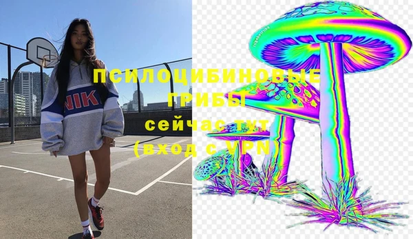 ГАЛЛЮЦИНОГЕННЫЕ ГРИБЫ Волгодонск