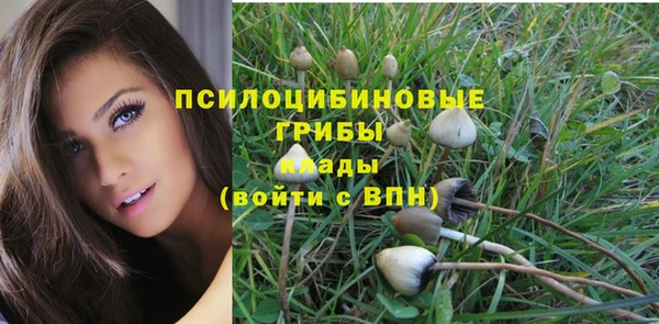 мескалин Богородск