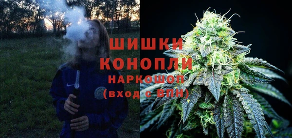 дурь Богданович