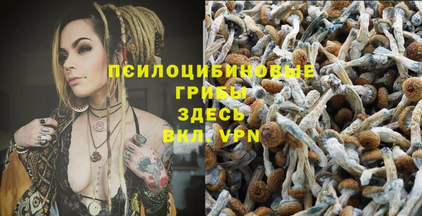 скорость Богородицк