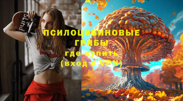 дурь Богданович