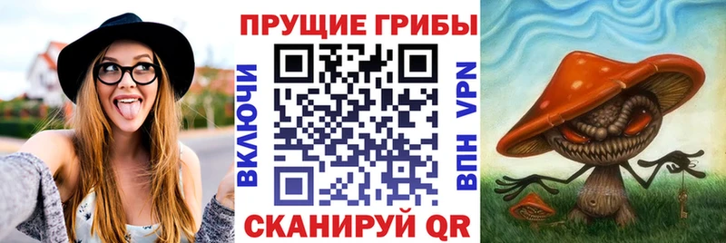 закладки  Михайлов  Галлюциногенные грибы Magic Shrooms 